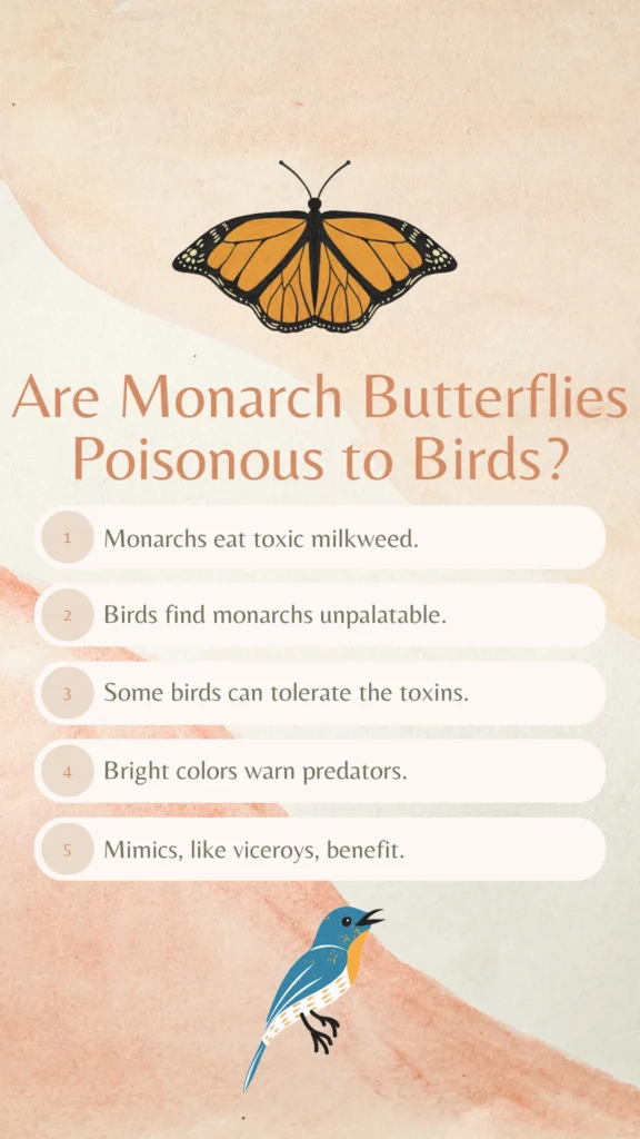 Are Monarch Butterflies Poisonous to Birds - Key Points Infographic