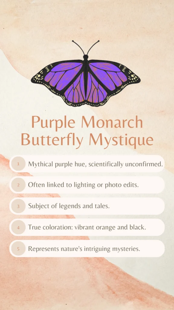 Purple Monarch Butterfly Mystique info graphical image