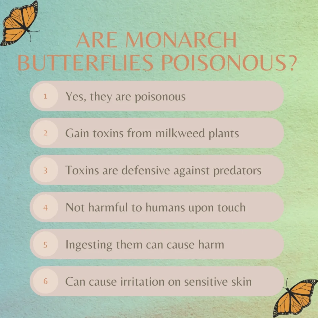 image answering "are monarch butterflies poisonous"