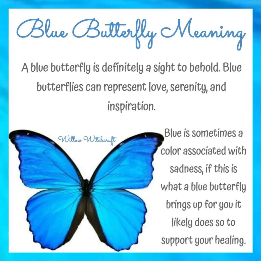 image with the blue butterfly meaning and symbolism written on it