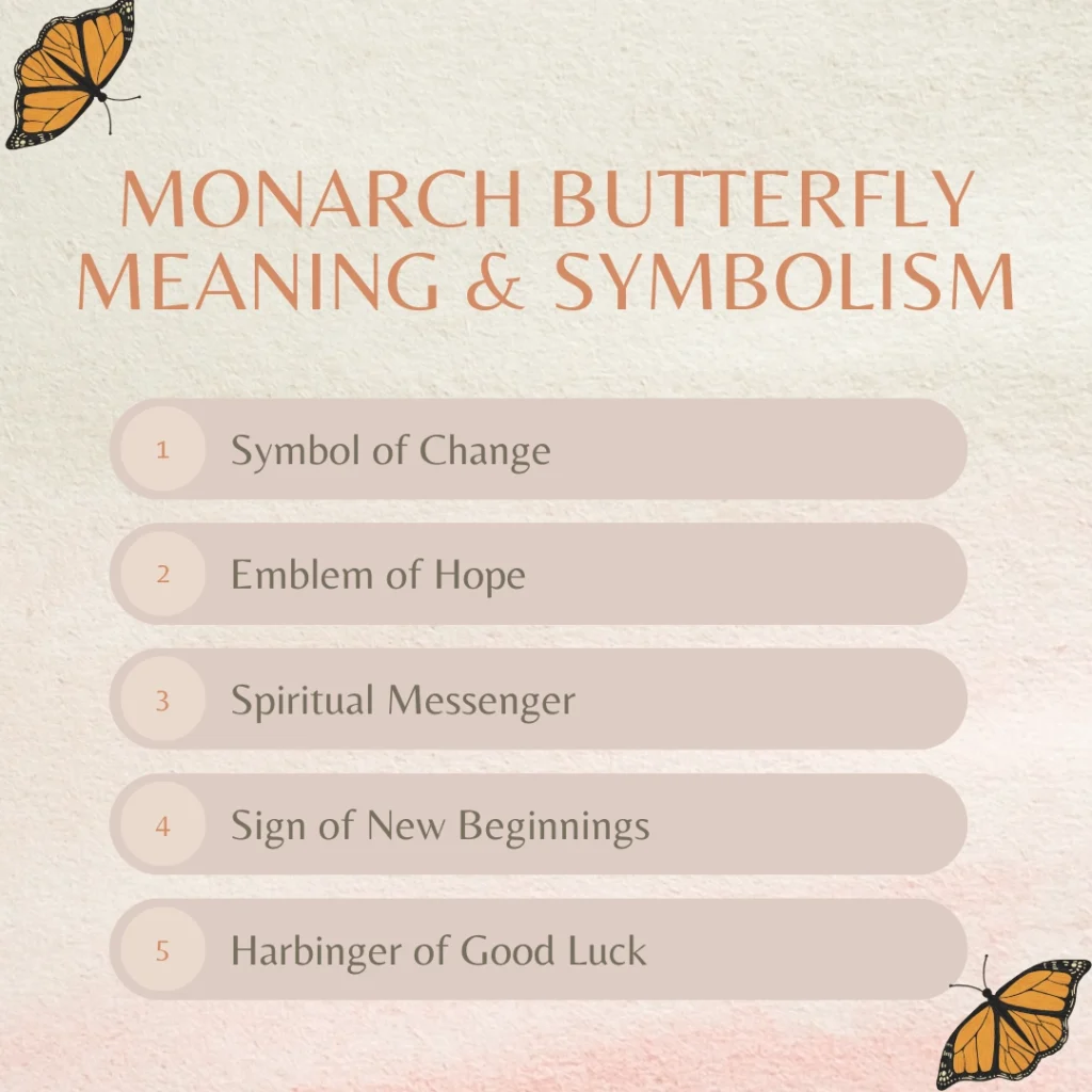 monarch butterfly meaning and symbolisms written on the image