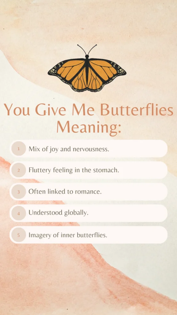 you give me butterflies meaning - Key Points Infographic